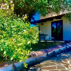  Appartamento Sarda Jamelia Italia